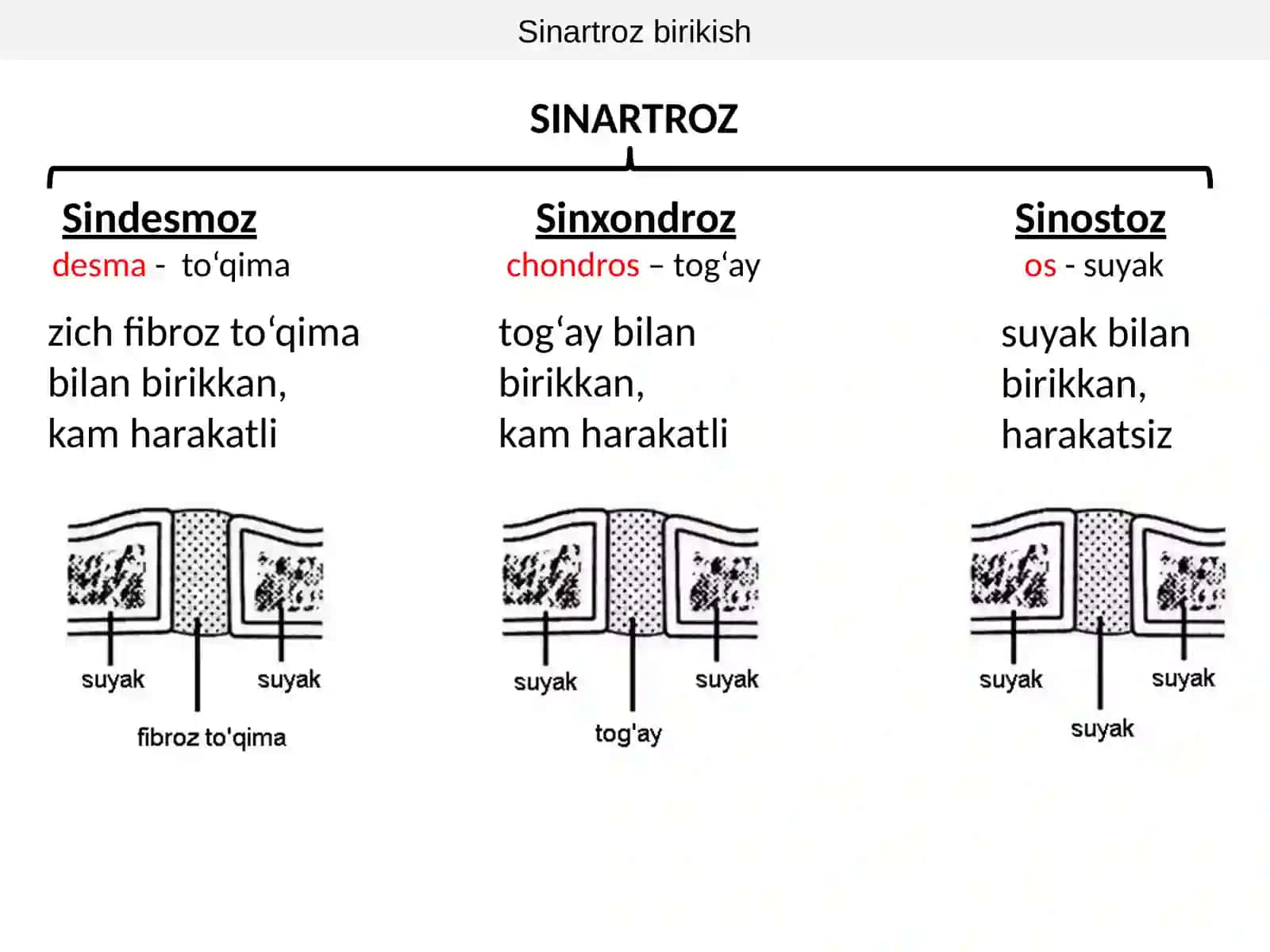 SUYAKLARBIRIKISHI 3