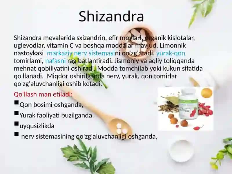 Shizandra (limonnik) mevalari 3