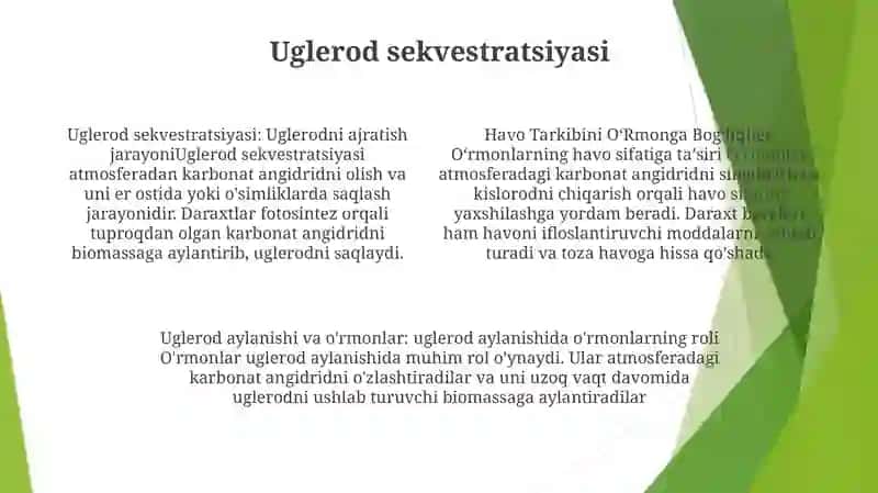 Havo Tarkibini OʻRmonga BogʻLiqligi 3
