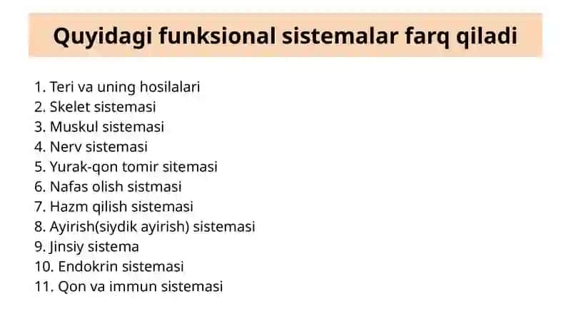 Fiziologiya 3