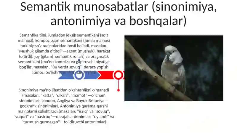 Leksikalogiya va semasiologia 3
