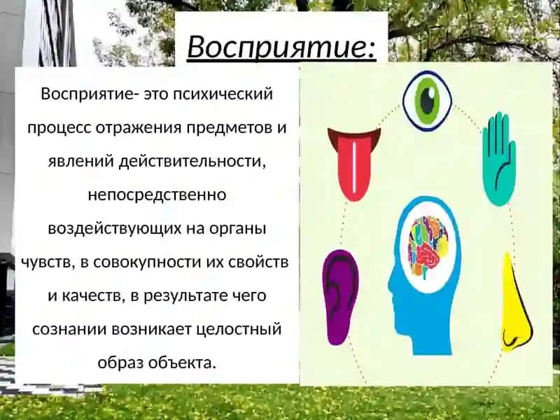 Презентация по общей психологии 3