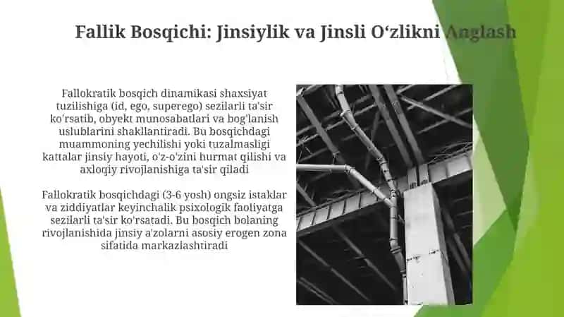 Psixoanalizda shaxs strukturasi 3
