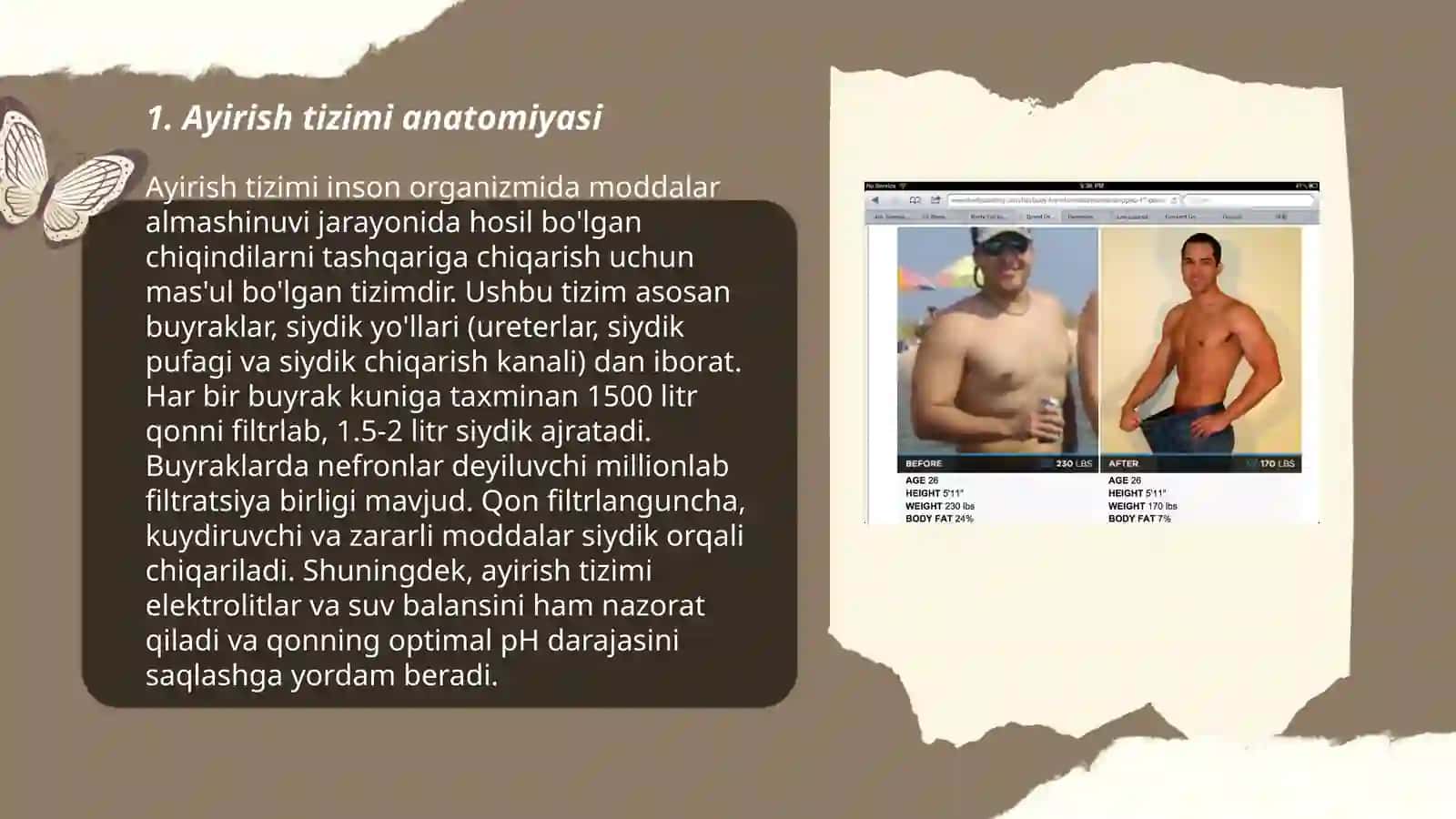 Ayirish tizimining yoshga oid xususiyatlari 3
