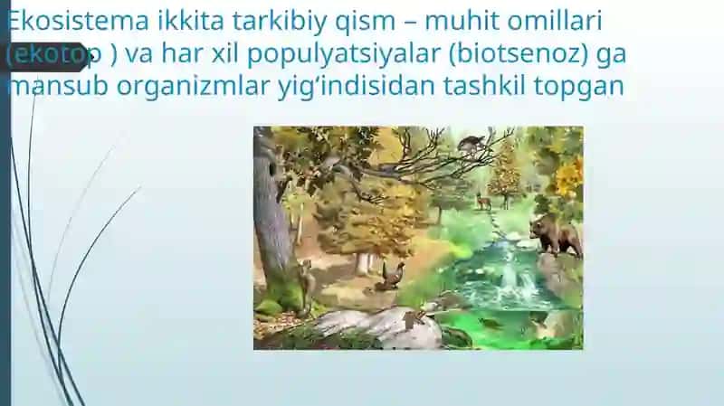 EKOSISTEMALARDAGIO‘ZARO MUNOSABATLAR 3