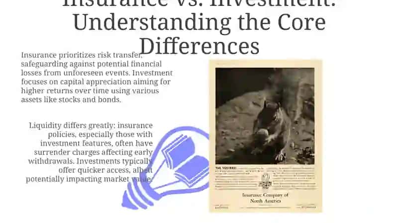 Insurance as Investment: An Overview 3