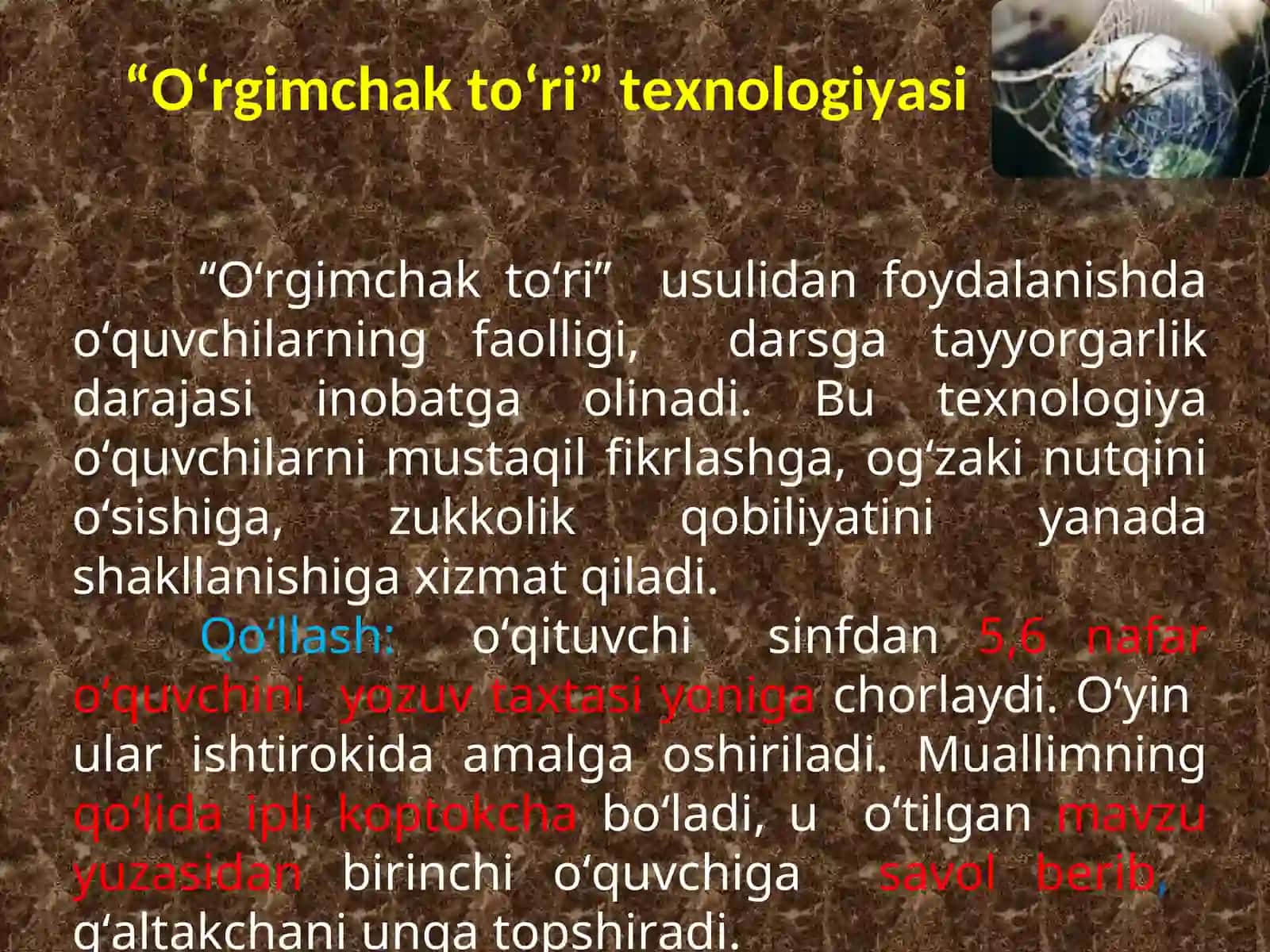 “O‘rgimchak to‘ri” texnologiyasi 3