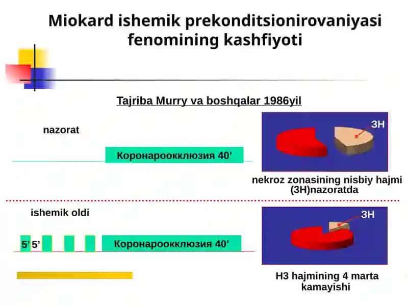 Miokardning koronar qon ta’minotining buzilishiga turli javoblari 3