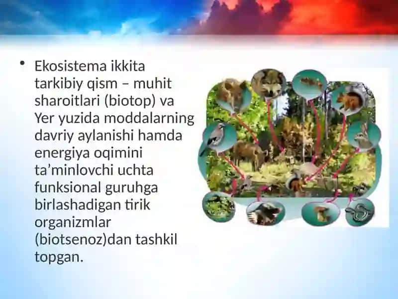 Ekosistema tarkibiy qismlari dars ishlanma 3