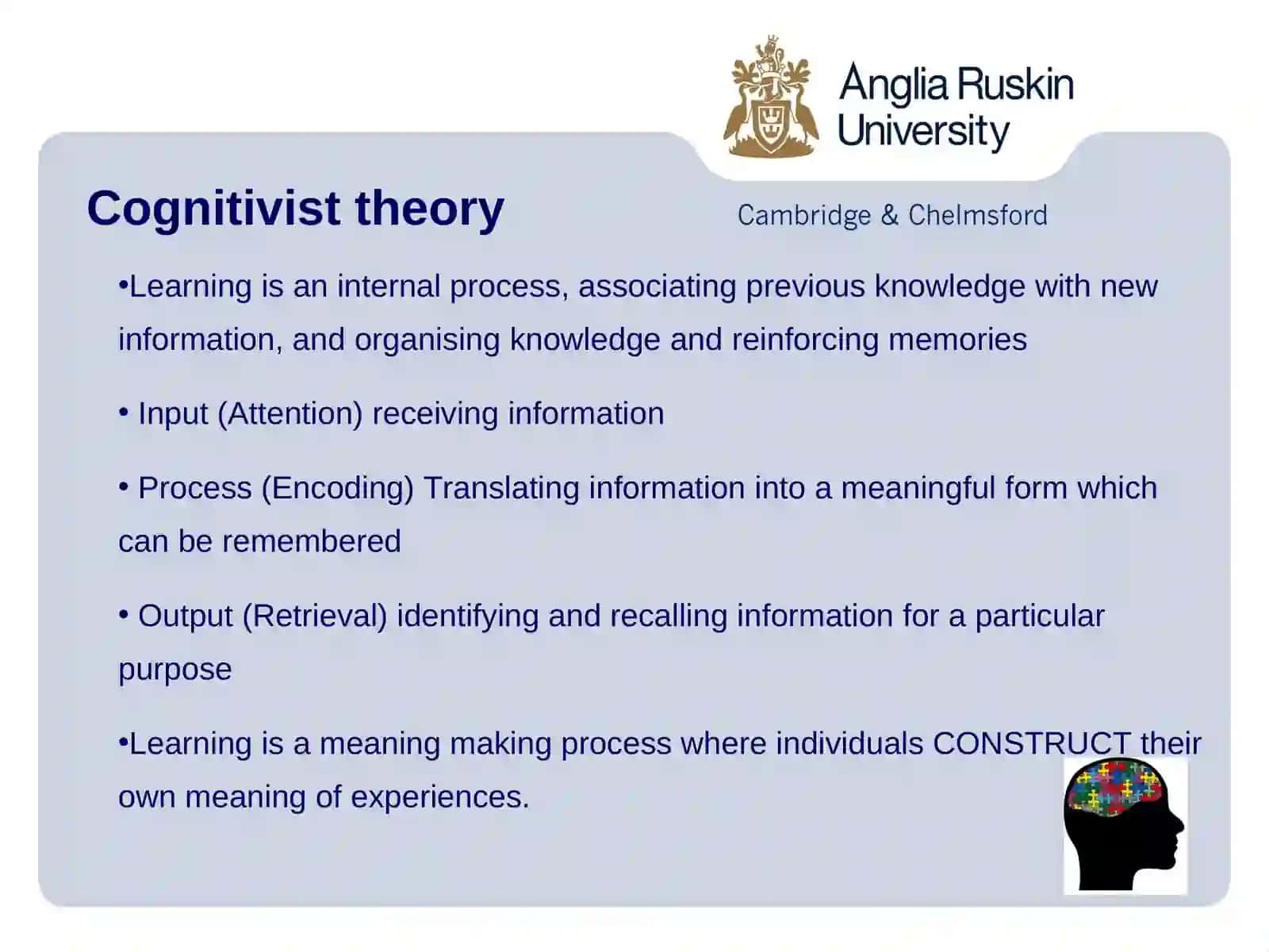 Introduction to Cognitive theories of Learning 3
