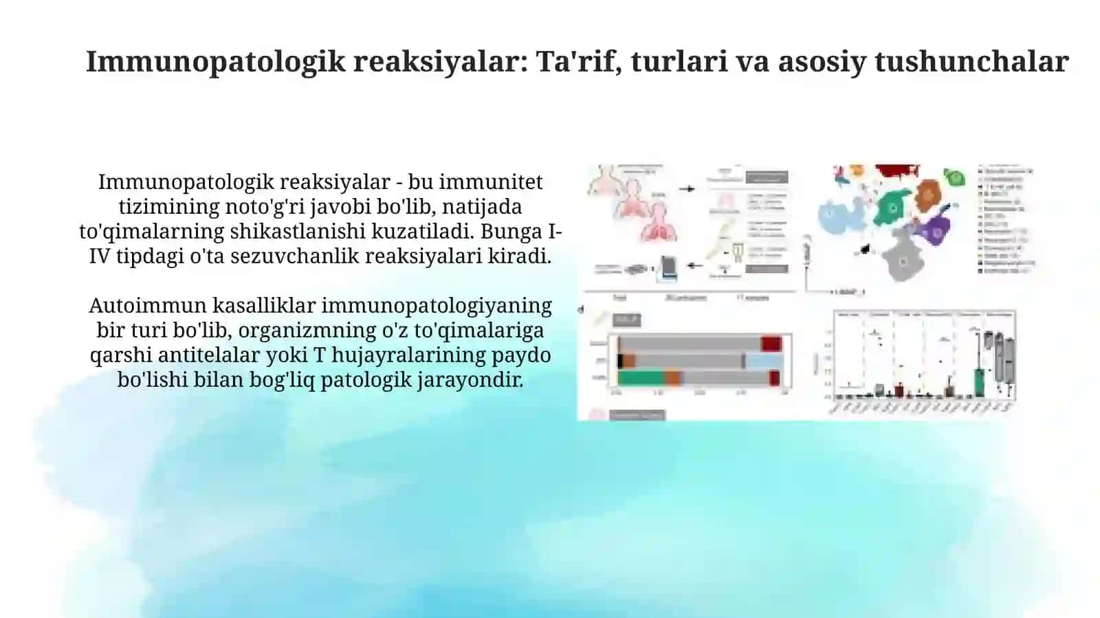 Immunopatologikreaksiya 3