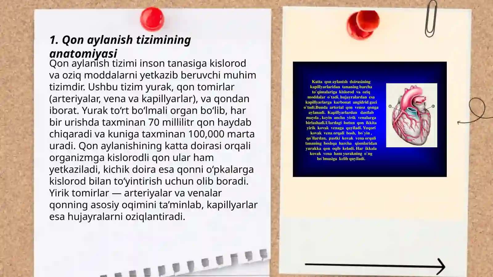 Qon aylanish tizimi 3