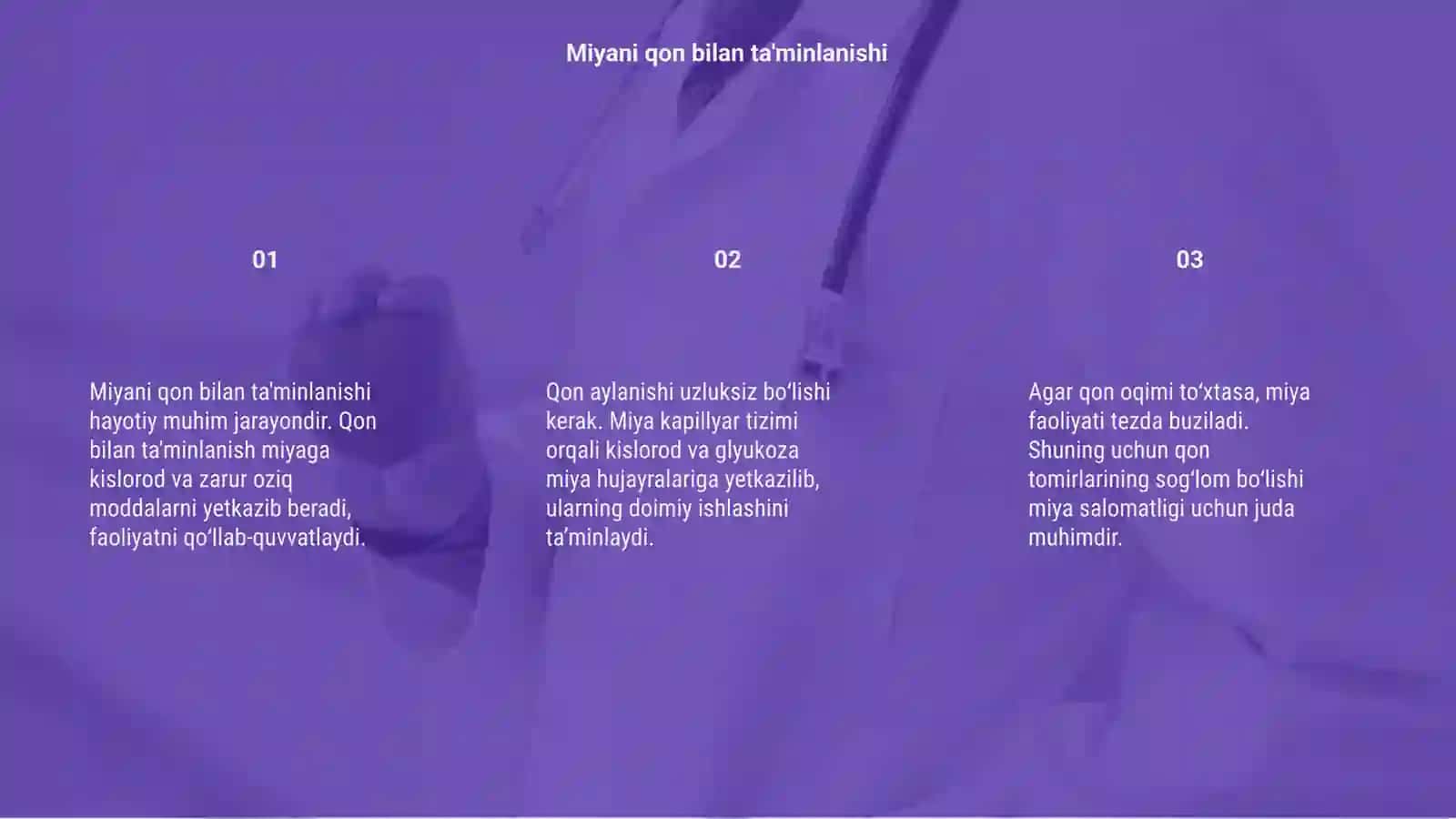 Miyani qon bilan ta'minlanishi 3