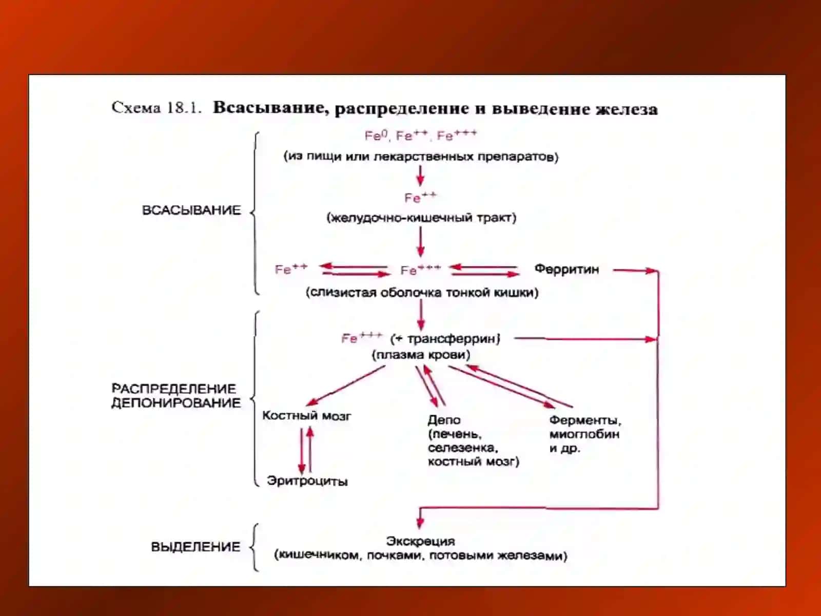 ҚОН СИСТЕМАСИГА ТАЪСИР ЭТУВЧИ ВОСИТАЛАР 3