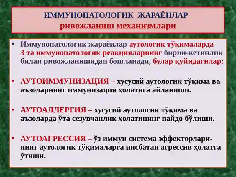ИММУНОГЕНЕЗНИНГ СХЕМАТИК ТАСВИРИ 3