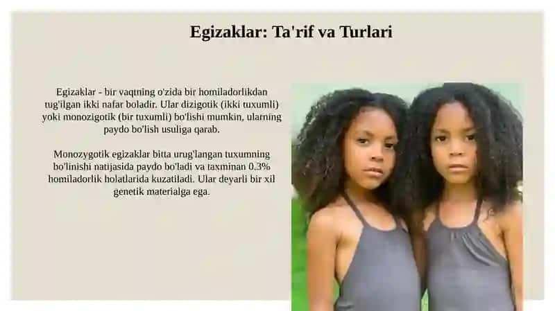 Egizaklar 3