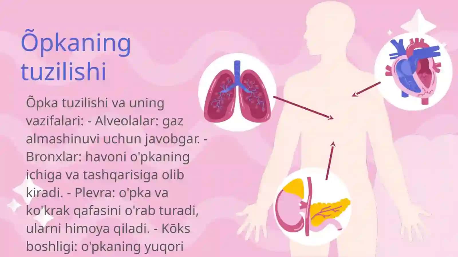 Õpka, plevra, kōks boshligi 3