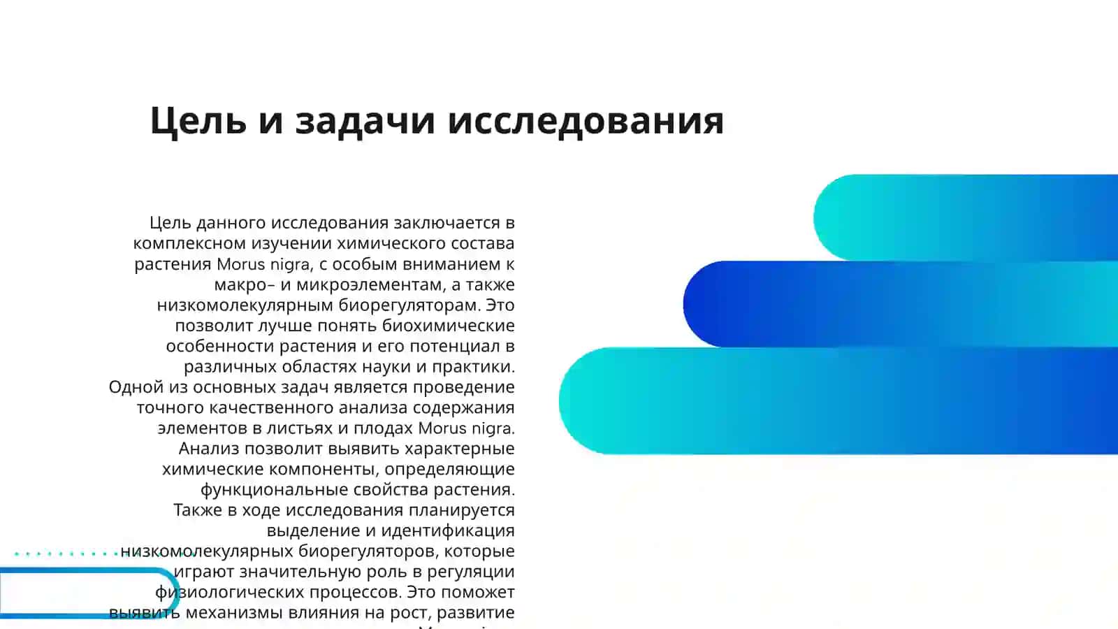ХИМИЧЕСКИЕ КОМПОНЕНТЫ MORUS NIGRA 3