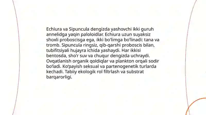 Echiura va sipuncula 3