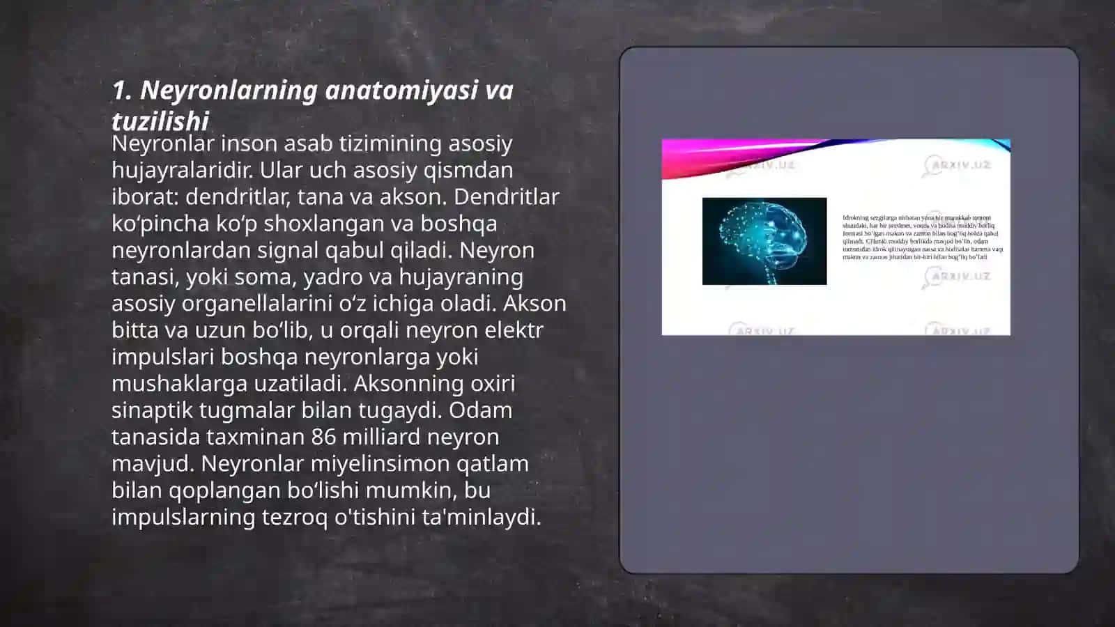 Neyronlarning anatomiyasi va tuzilishi 3