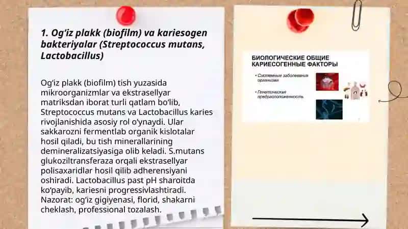 Kariesogen omillar (mahalliy, umumiy) 3