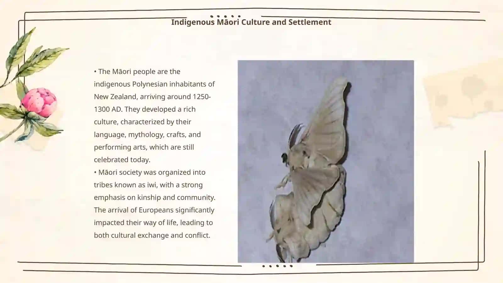 The History of New Zealand 3