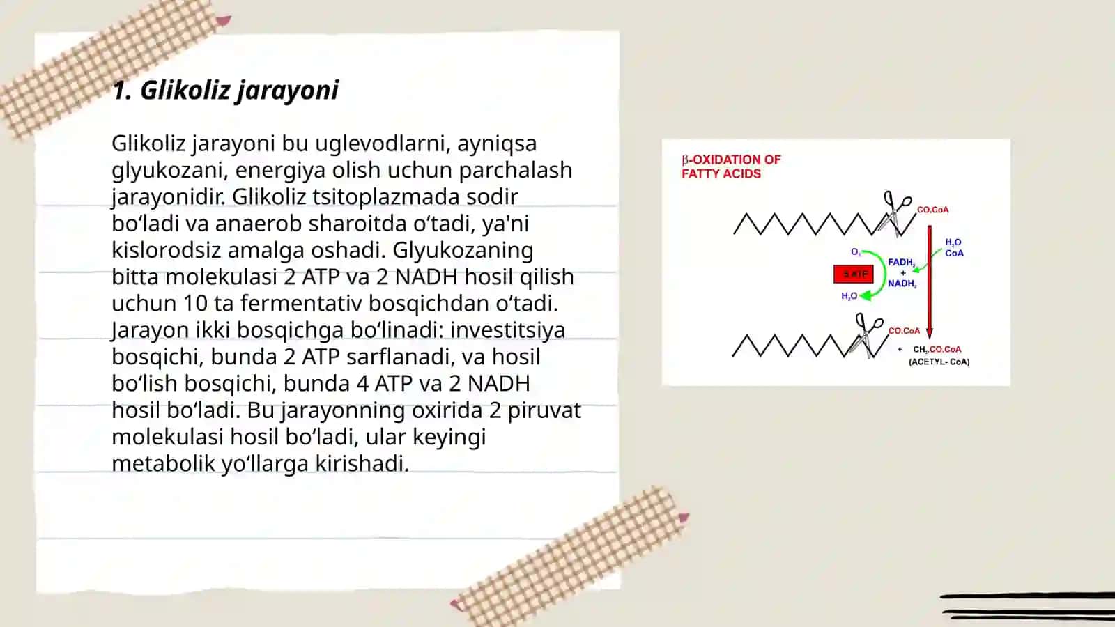 Glyukoliz katabolizmi va glyukoneogenez 3