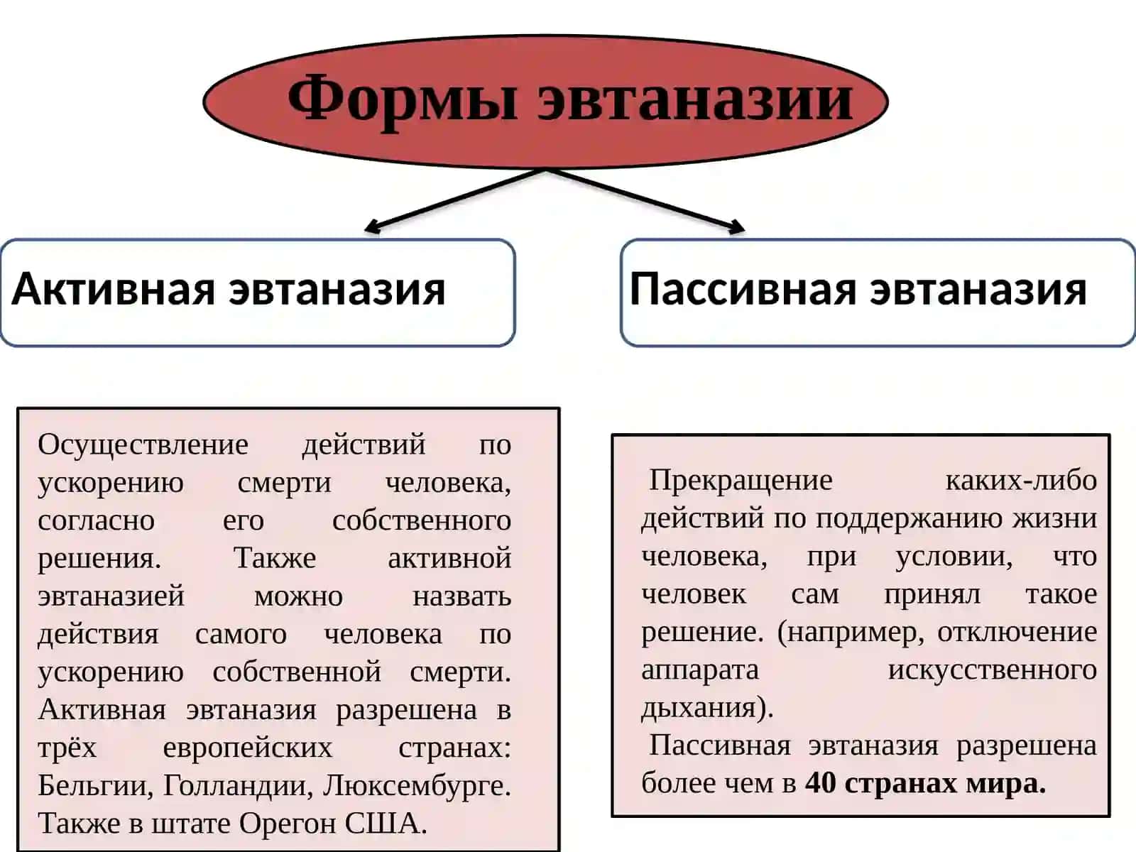 Эвтаназия: за и против? 3