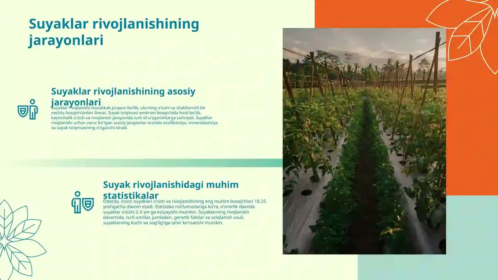 Suyaklar rivojlanishining buzulishlari 3