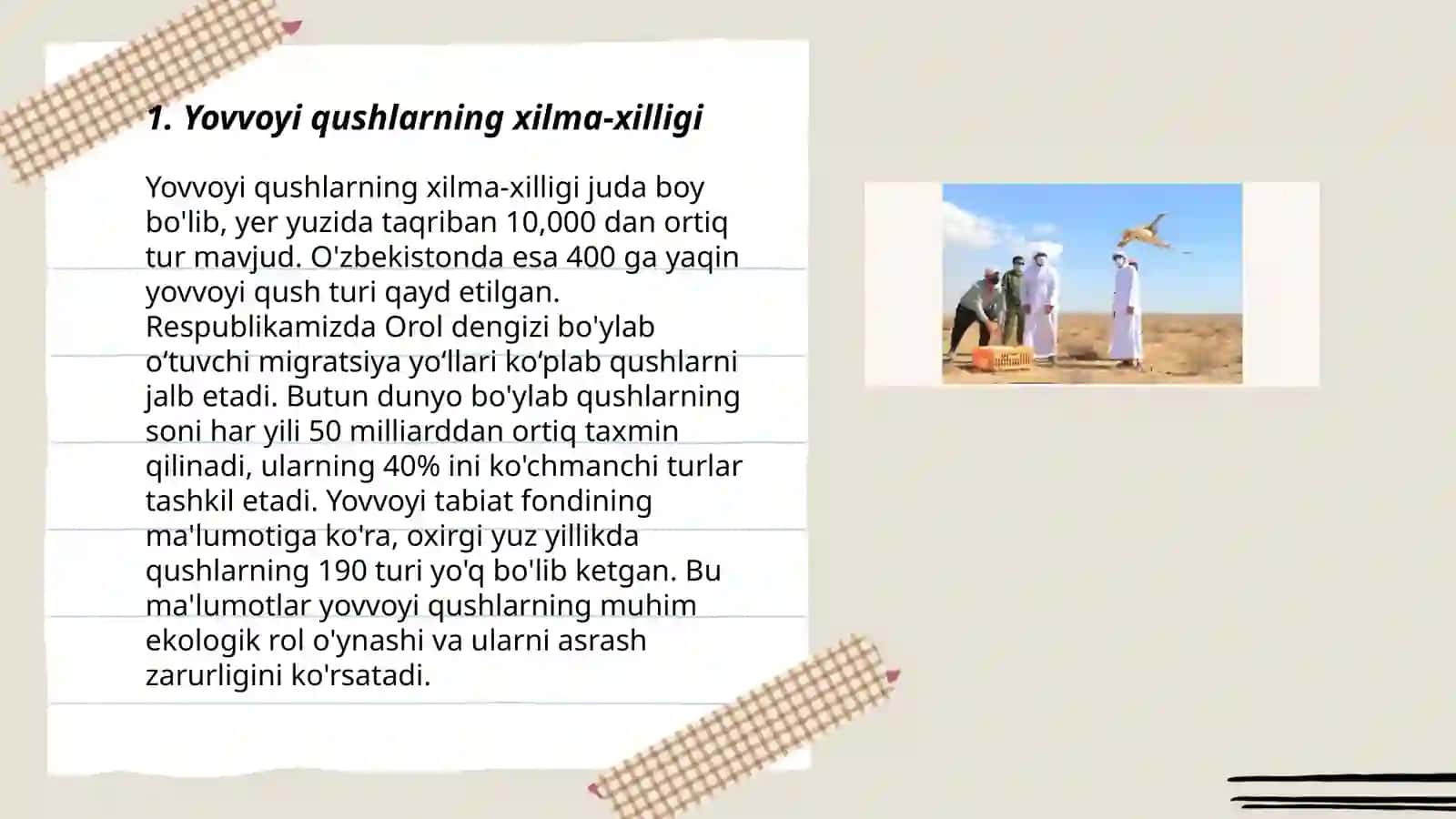 Yovvoyi qushlar 3