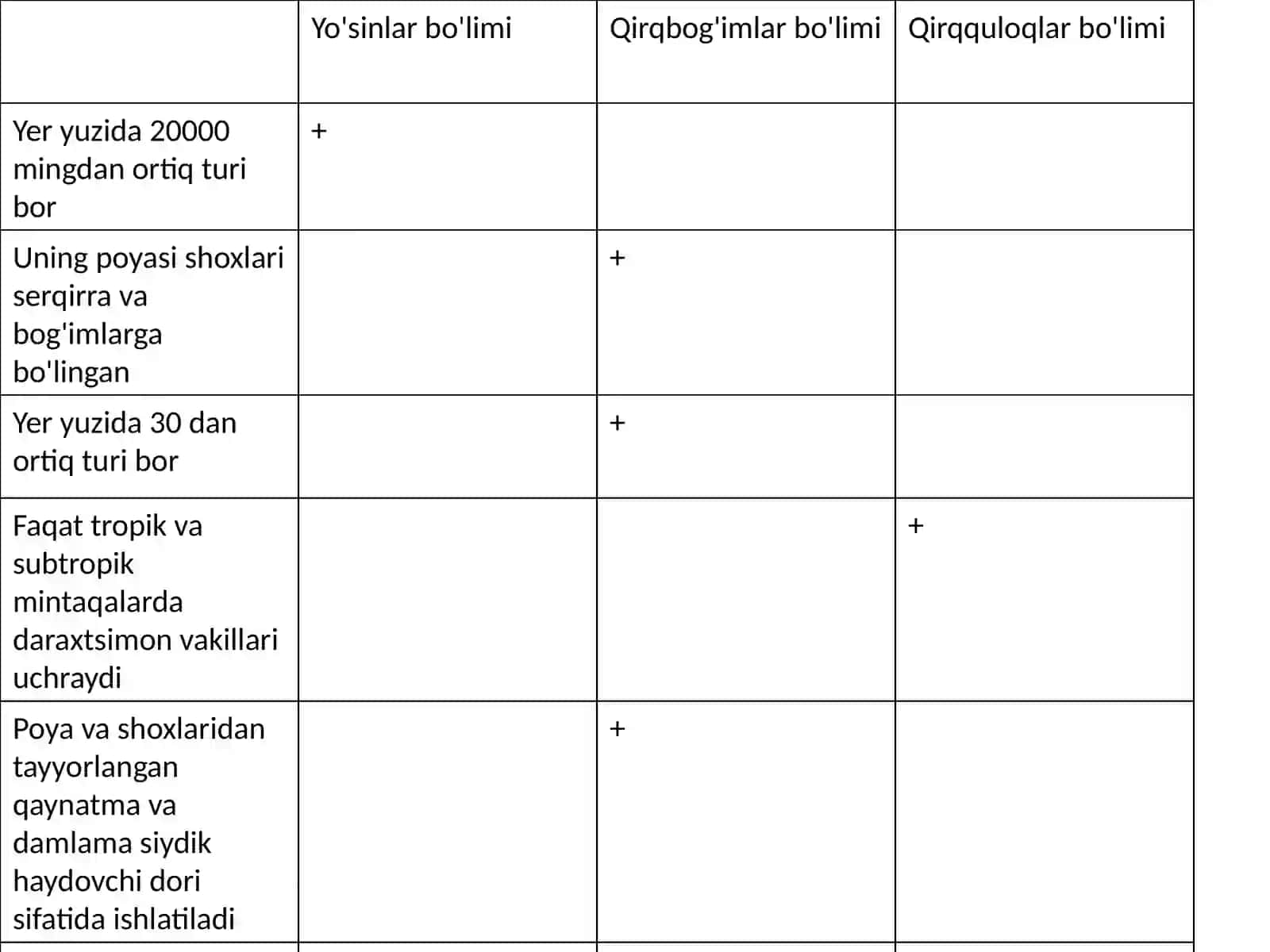 Ochiq urug'li o'simliklar 3