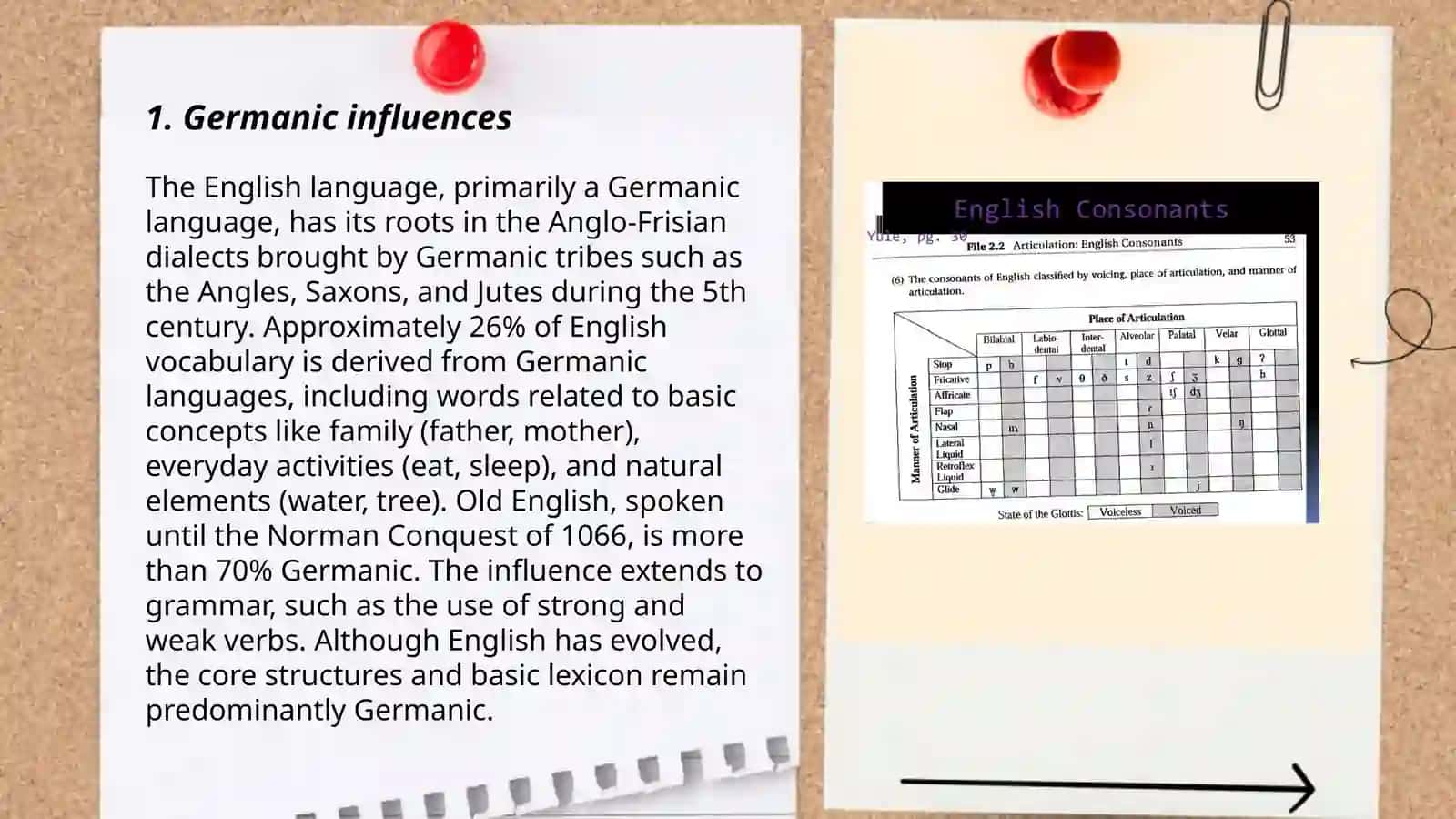 Etymological classification of the language vocabulary 3