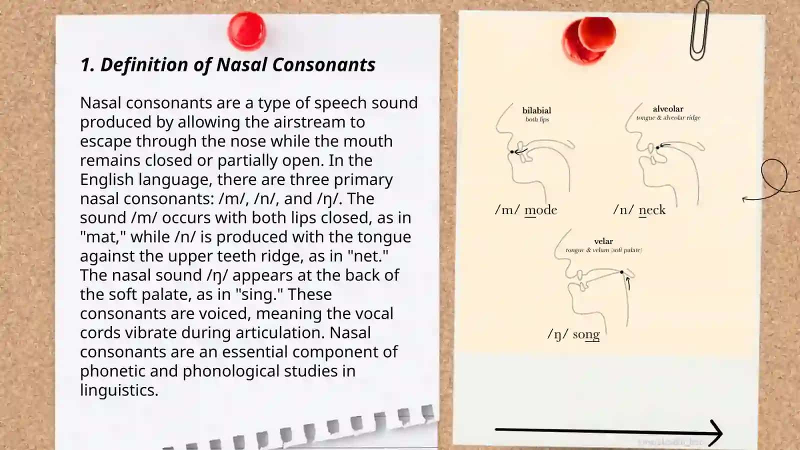 Nasal consonant and vowel 3