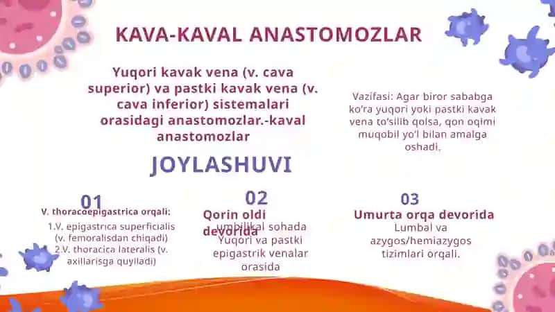 KAVA-KAVAL ANASTOMOZLAR 3