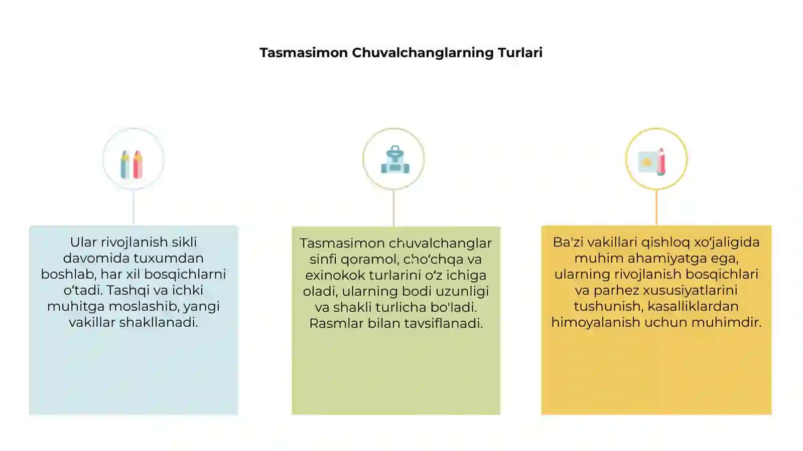 Tasmasimon chuvalchanglar sinfi 3