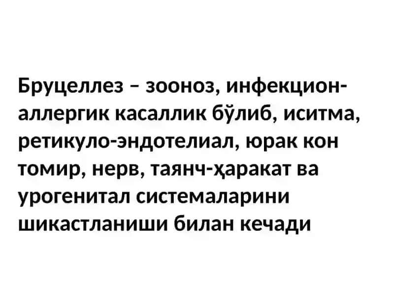 Бруцеллез 3
