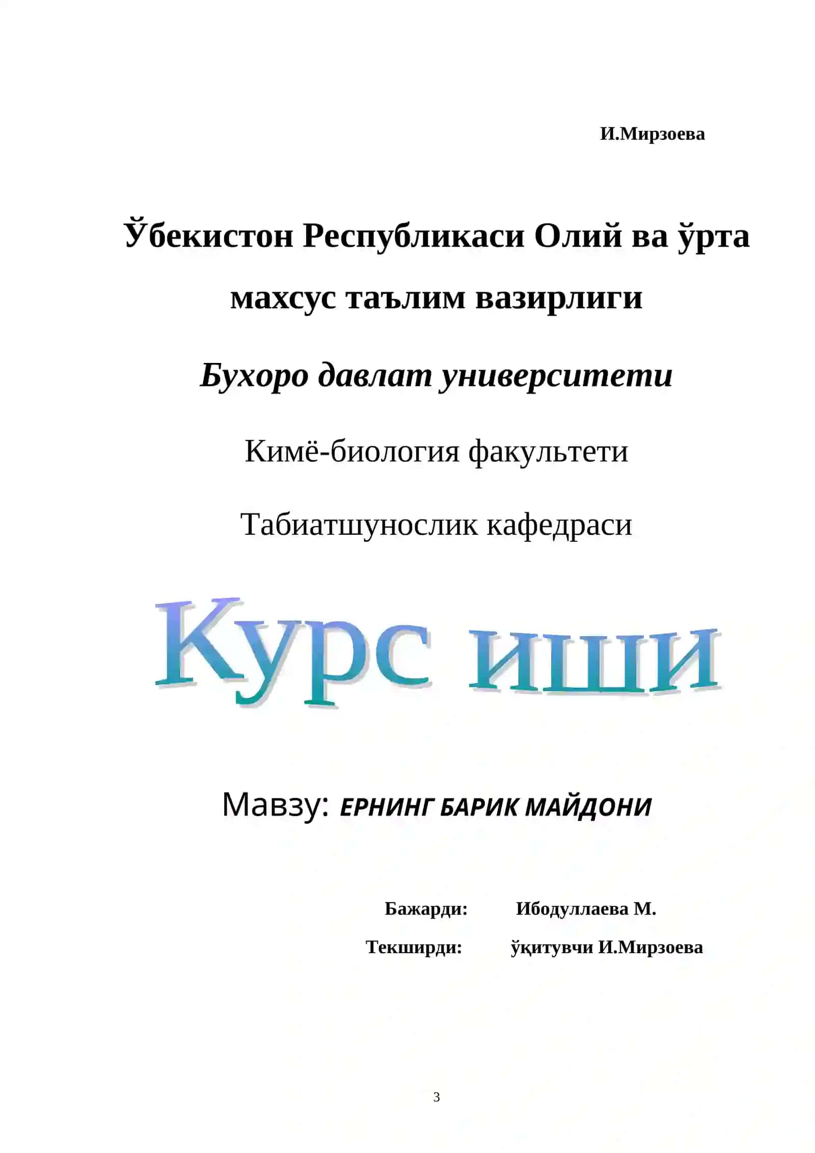 Ернинг барик майдони 3