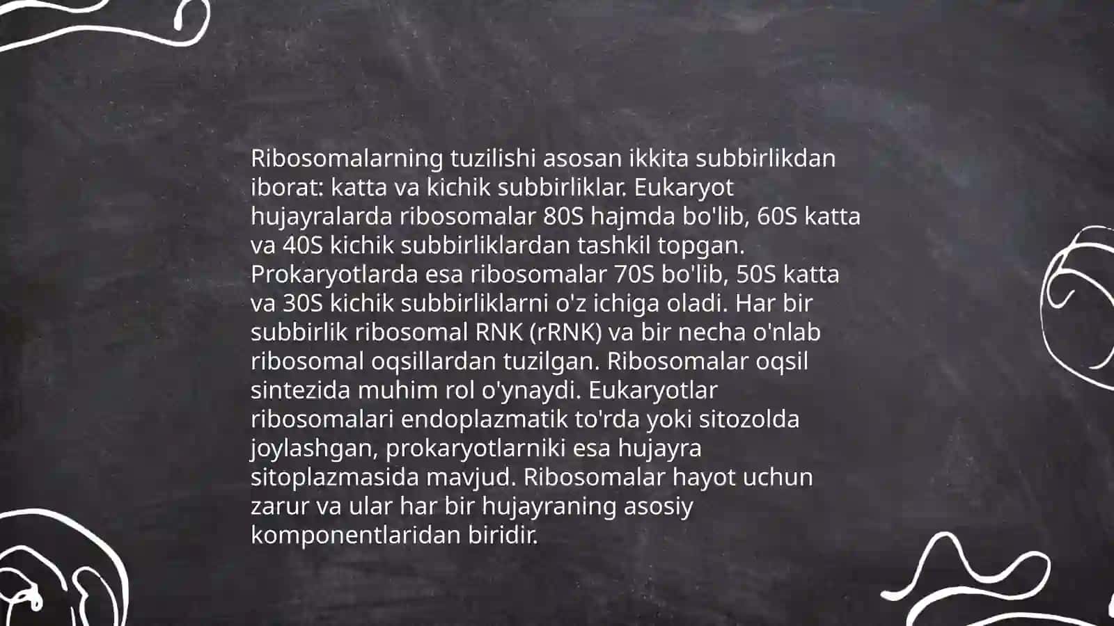 Ribasomaning mexano-kimyoviy xususiyatlari 3