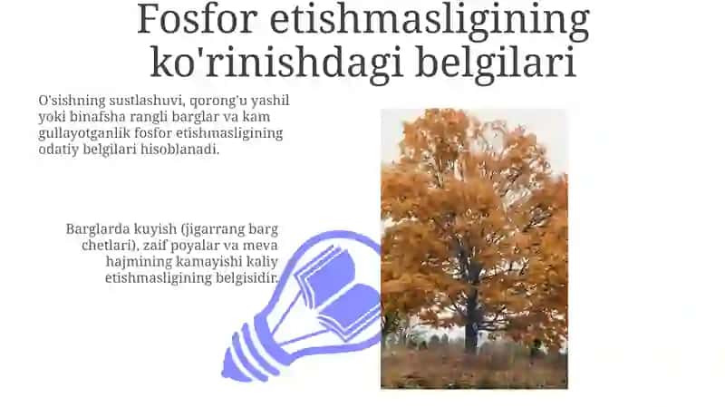 Azot, fosfor va kaliy nutqida 3