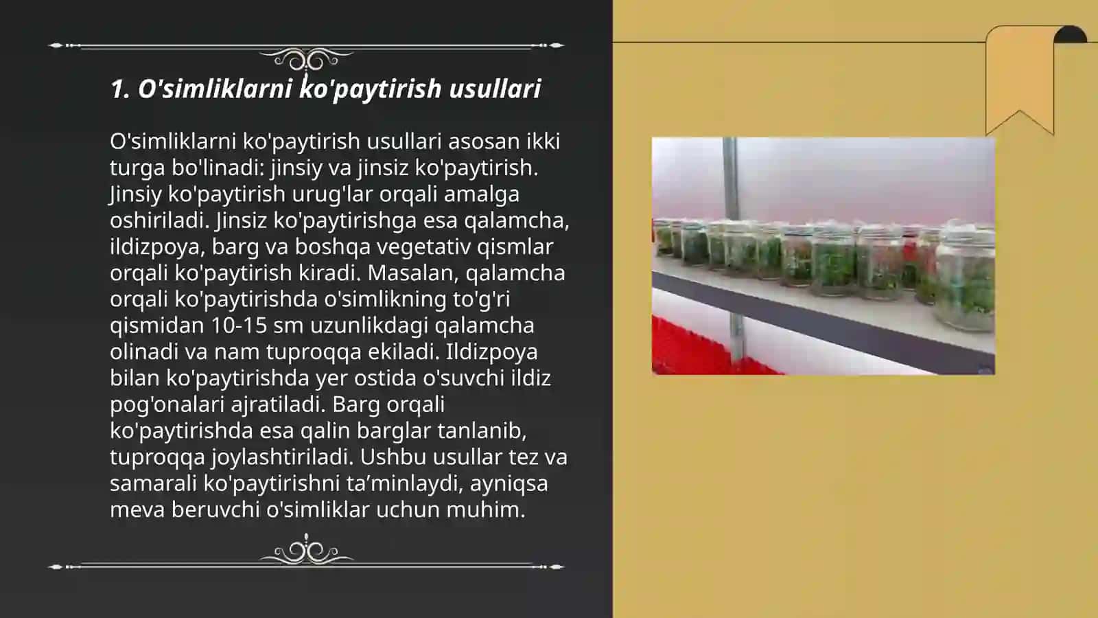 O'simliklarni mikroklonlash 3