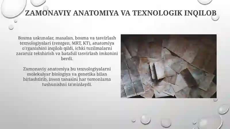 Anatomiyaning rivajlanish tarixi 3