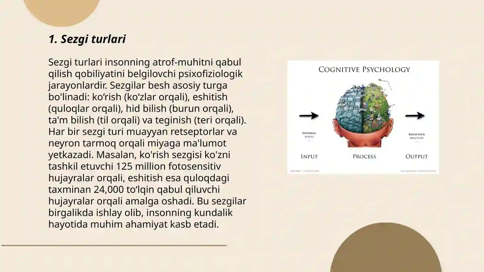 Kognitiv jarayonlar: Sezgi 3