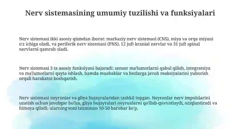 Nerv sistemasining tuzilishi 3