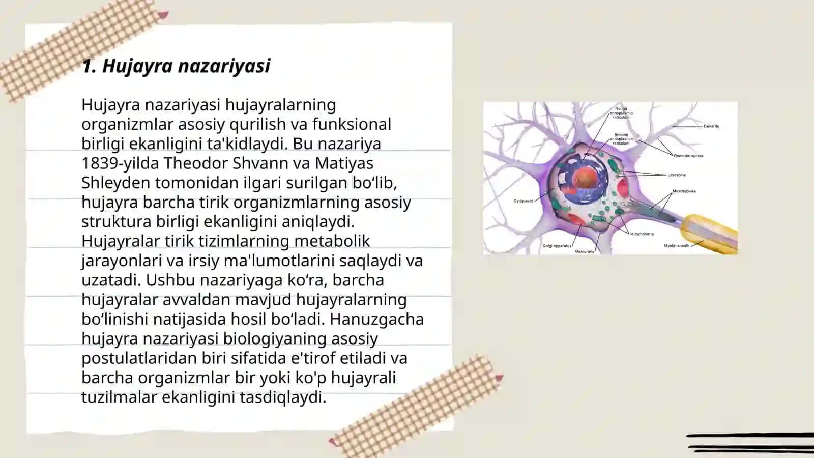 Hujayraning tuzilishi 3