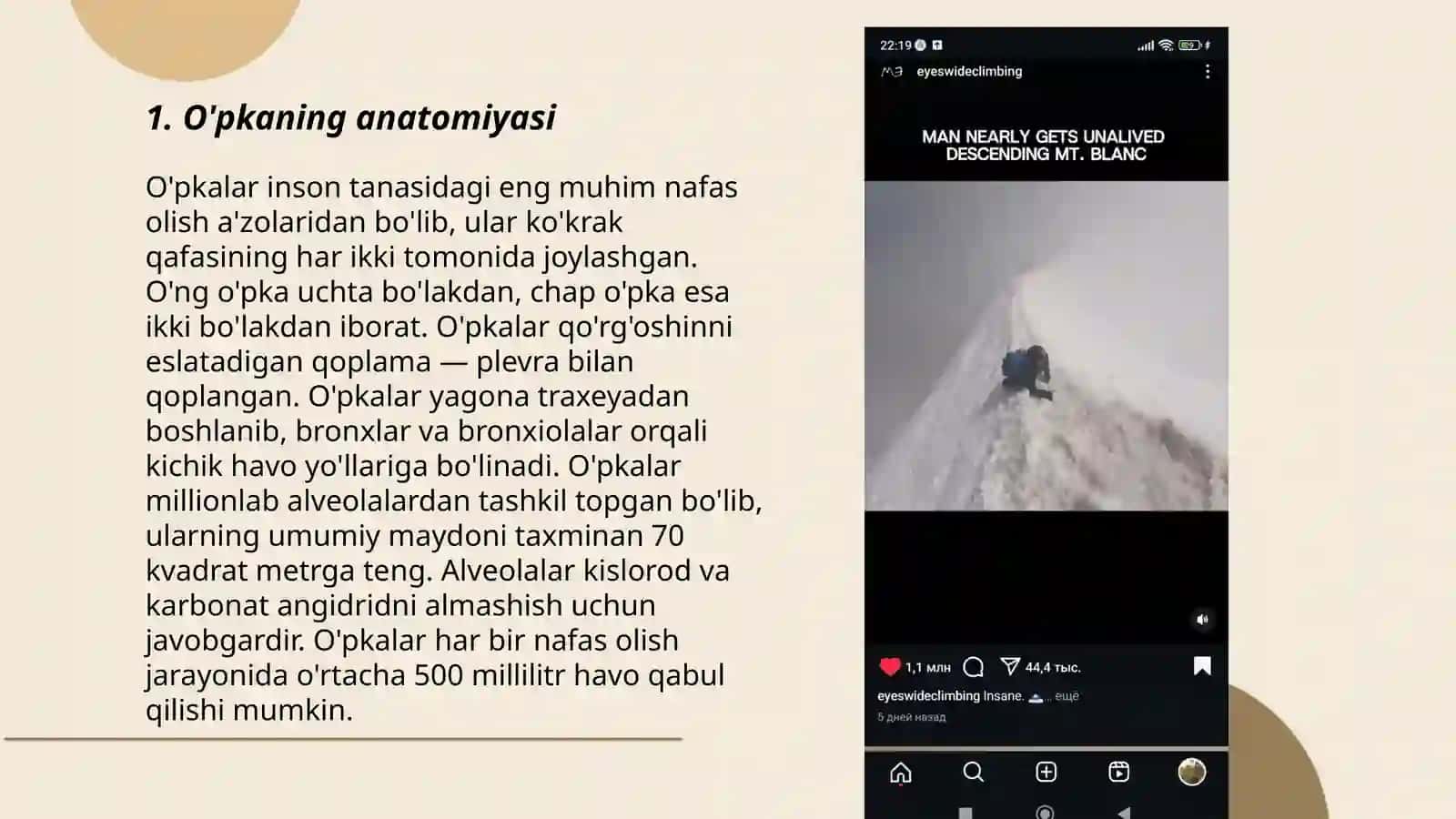 O'pka va qon so'rg'ichlari 3