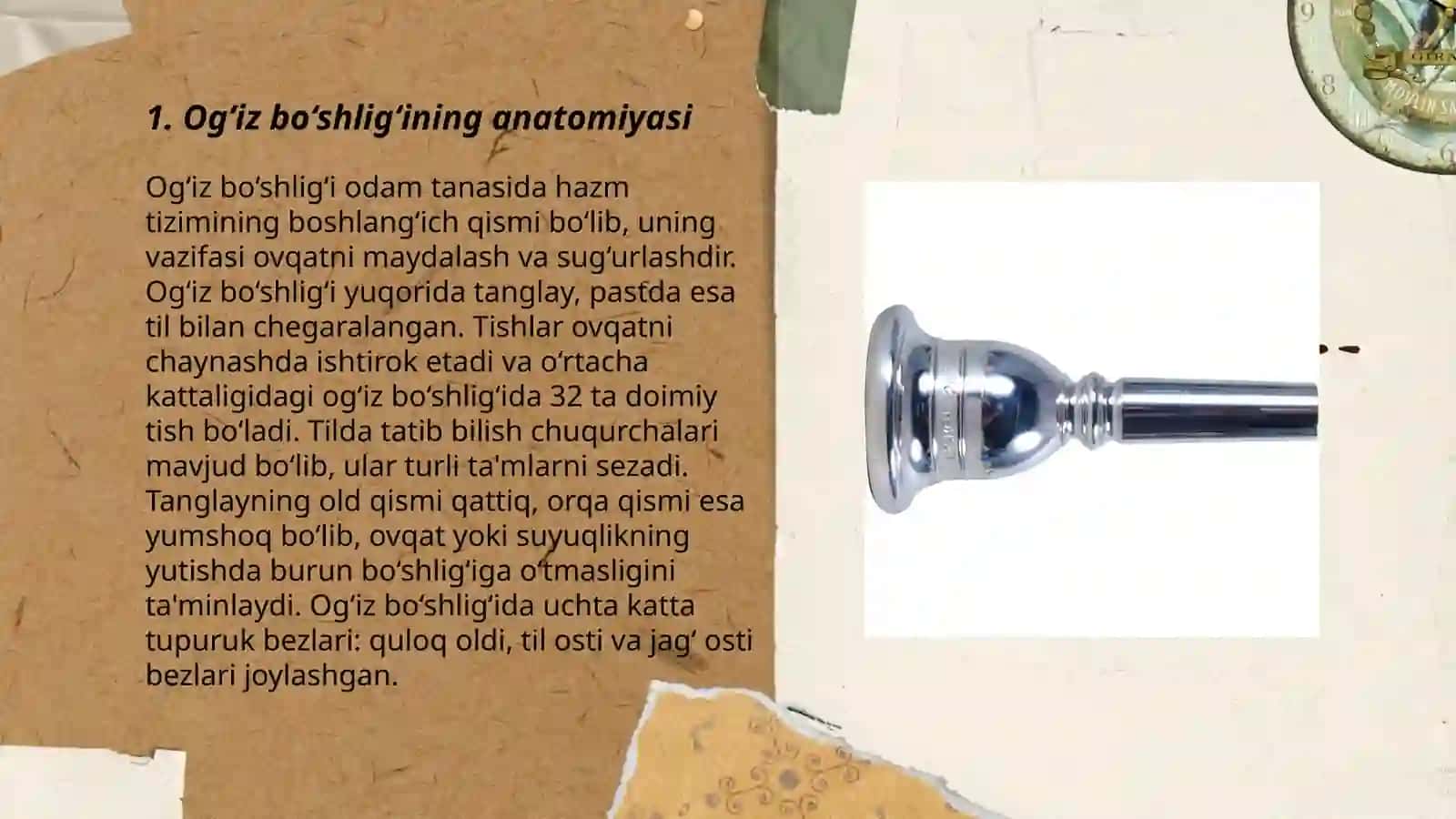 Og‘iz bo‘shlig‘i 3