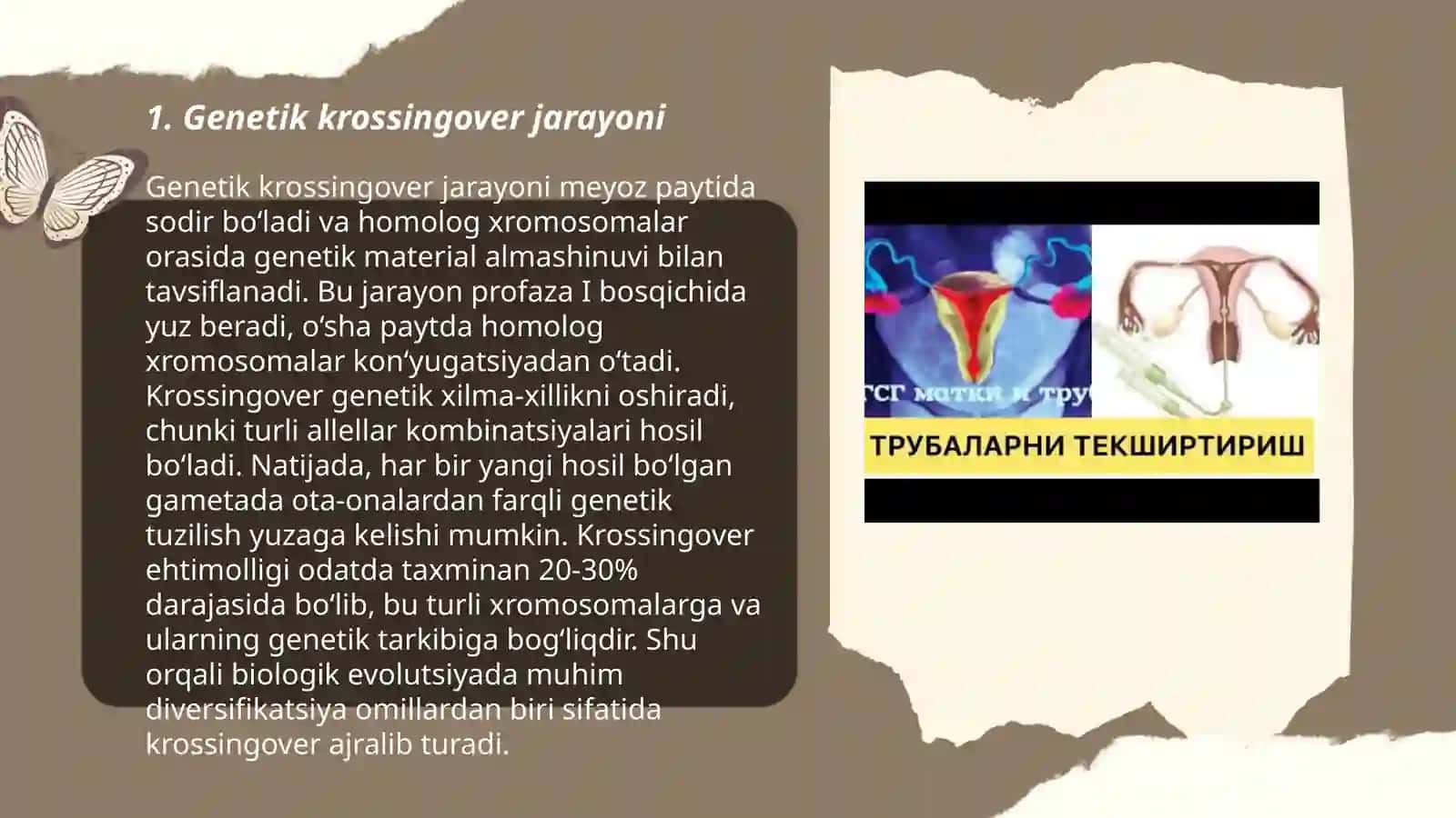 Genetik krossingover jarayoni 3