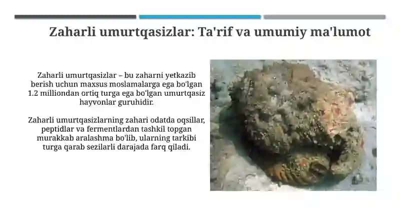 Zaharli umurtqasizhayvonlar 3