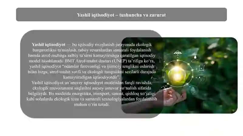Yashil iqtisodiyotga o'tish jarayonini moliyalashtirish 3