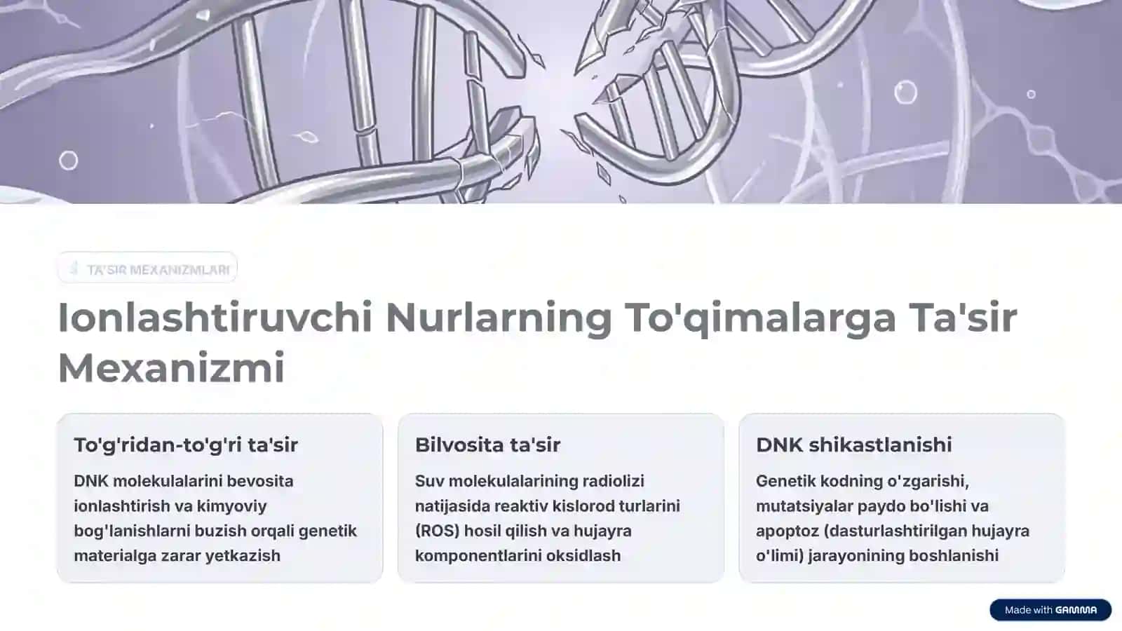 Ionlashtiruvchi nurlar biologik to'qimalarga ta'siri 3